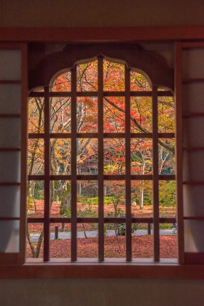 Podzimní listí v Enkoji chrámu — Stock fotografie