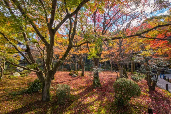 Herbstlaub im enkoji-Tempel — Stockfoto