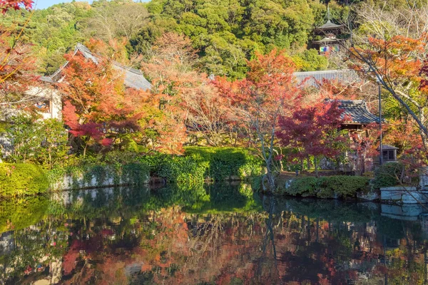 秋叶在 Eikando 寺 — 图库照片