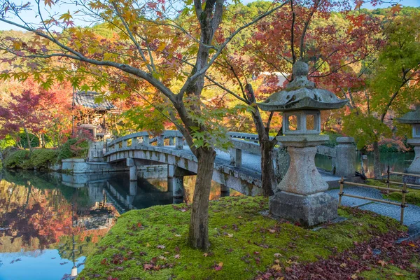 Podzimní listí v Eikando chrámu — Stock fotografie