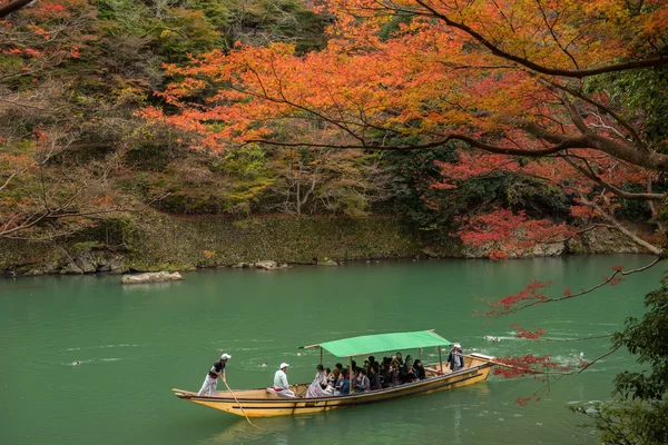 Δέντρο σφενδάμνου στο Arashiyama — Φωτογραφία Αρχείου