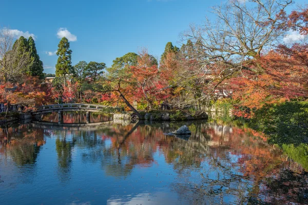 Herbstlaub am Eikando-Tempel — Stockfoto