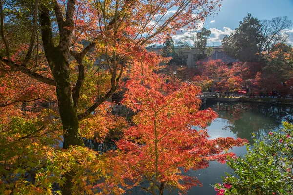 Herbstlaub am Eikando-Tempel — Stockfoto