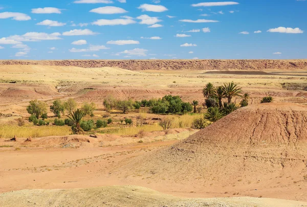 Deserto incrível do Saara — Fotografia de Stock