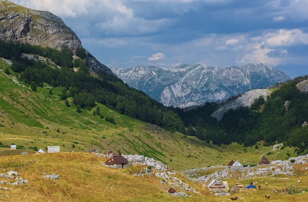 Campo em Montenegro — Fotografia de Stock