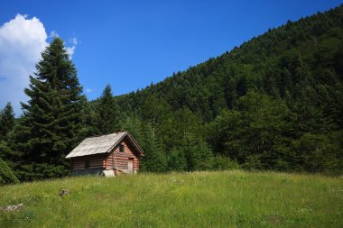 Dağları'nda terk edilmiş evde