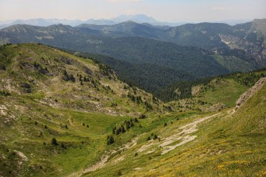 Şaşırtıcı ziyaretçi dağlar