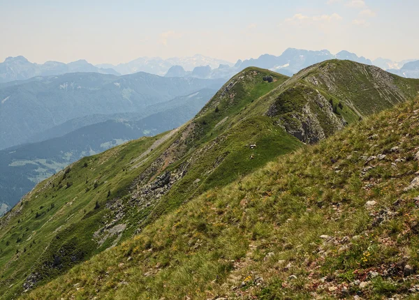 Amaning besökare berg — Stockfoto