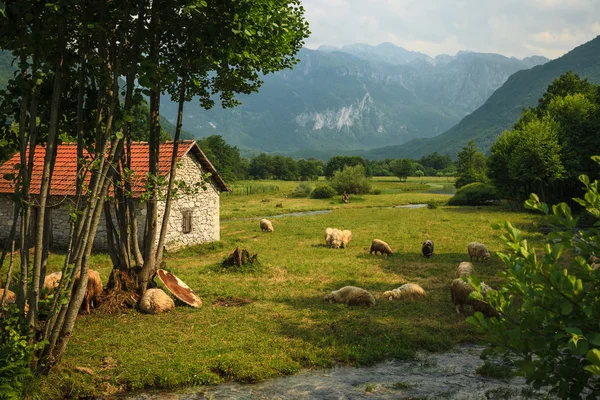 Одинокий дом в горах — стоковое фото