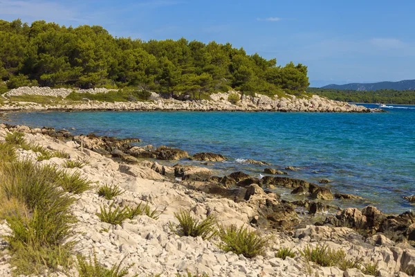 Belle île de Murter — Photo