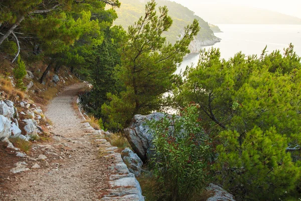 Δασικό Πάρκο Osejava σε Makarska — Φωτογραφία Αρχείου