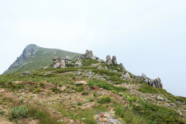 Національний парк uludag — стокове фото