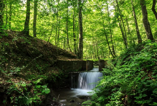 Yedigoller nationalpark — Stockfoto