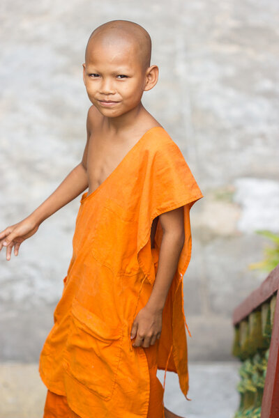 Young monk in wat Leu