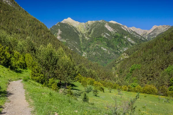 Trail in mountains — Stock Photo, Image