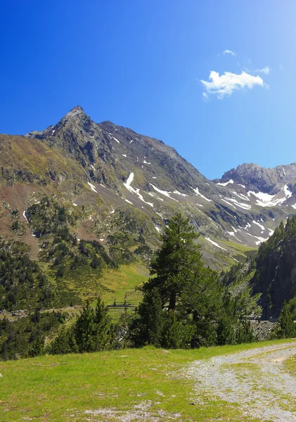 Francuskich Pirenejów — Zdjęcie stockowe