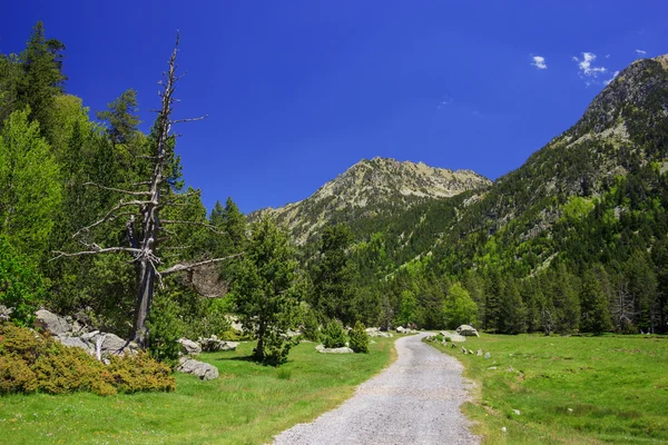 Sendero turístico en las montañas — Foto de Stock