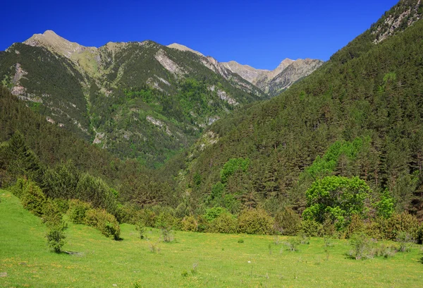 Nationalpark aiguestortes — Stockfoto