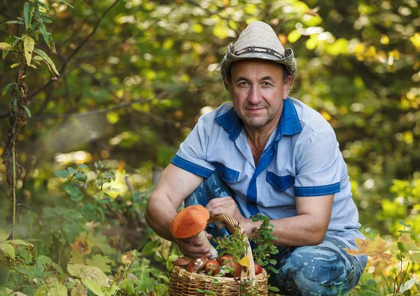 Man plukken van paddestoelen — Stockfoto