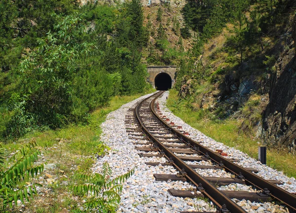 Ferrocarril de vía estrecha — Foto de Stock