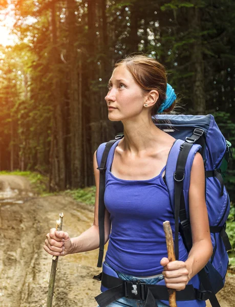 Wandern im Wald — Stockfoto