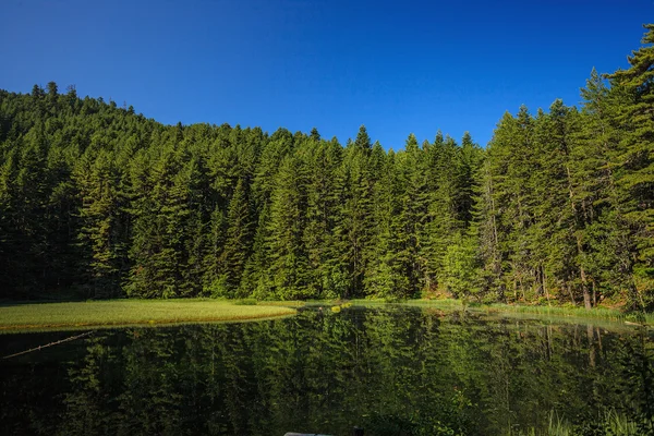 Besökaren sjö — Stockfoto