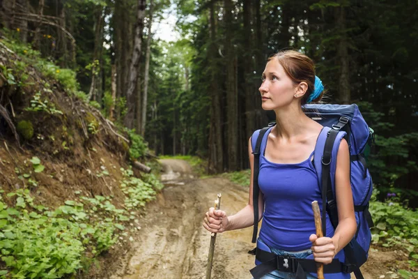 Wandern im Wald — Stockfoto