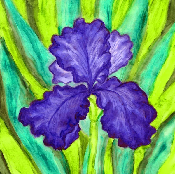 Blur iris, painting — Stock Photo, Image