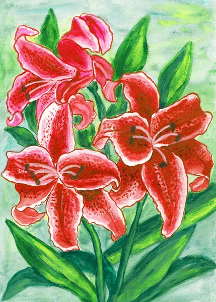 Red lilies, painting — Stock Photo, Image