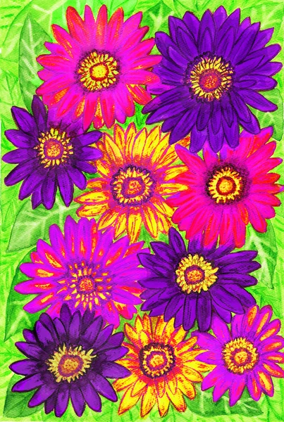 Gerbera flowers blue and pink, painting — Stock Photo, Image