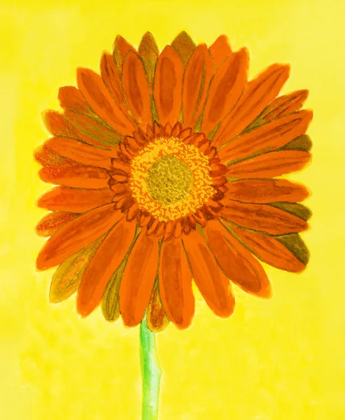 Orange gerbera on yellow, watercolor — Stock Photo, Image