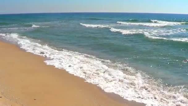 Θάλασσα με κύματα — Αρχείο Βίντεο