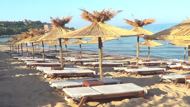 Beach umbrellas, Bulgaria — Stock Video