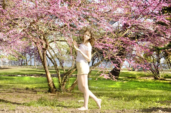 Woman with pink tree — Stock Photo, Image