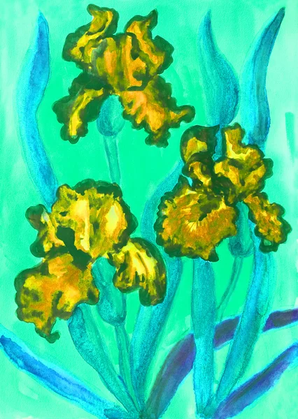 Tre gula irisar, akvarell — Stockfoto