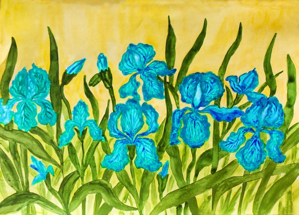 Iris bleus, peinture — Photo