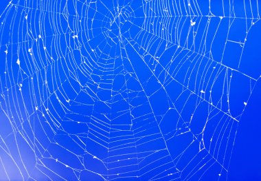 Örümcek ağı üzerinde sky