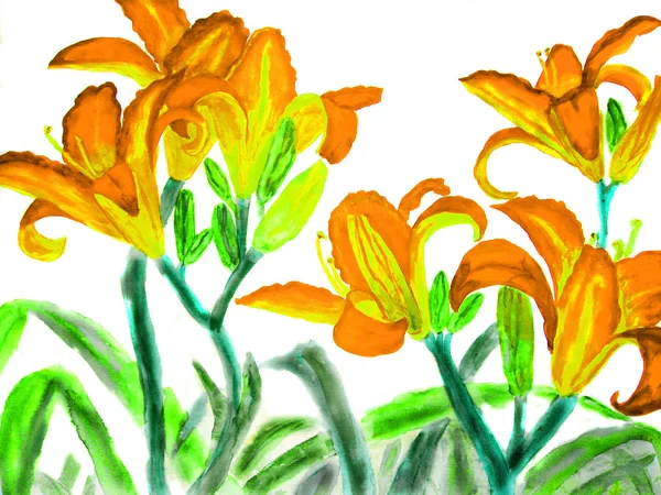 Oranžovo žlutá lilie, ilustrace — Stock fotografie