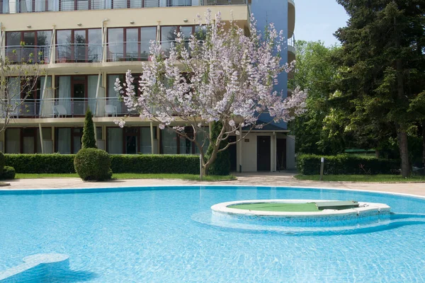 Flowers of empress tree or princess tree, or foxglove tree, (Paulownia tomentosa), and Koral hotel, St. Konstantin and Helena resort, Bulgaria.