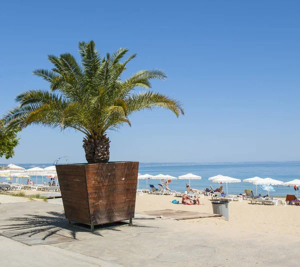 Spiaggia Sulla Località Golden Sands Golden Sands Varna Bulgaria — Foto Stock