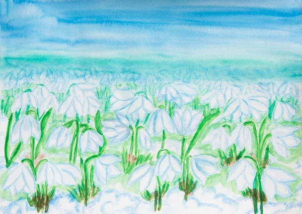 Många Blommor Snödroppar Marken Illustration Målning Akvarell — Stockfoto