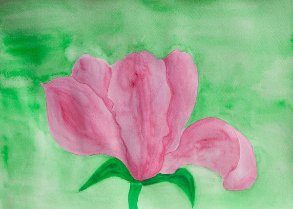 One Big Pink Colour Magnoliaflower Green Background Illustration Painting Watercolor — Stock Photo, Image