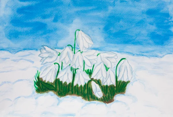 Snowdrops First Spring Flowers Snow Illustration Painting Watercolor — Stock Photo, Image