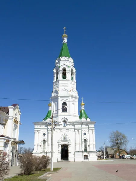 Catedral de Alexander Nevskiy em Egorevsk, Rússia — Fotografia de Stock