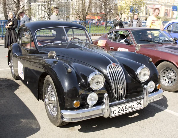 Jaguar im Retro-Look — Stockfoto