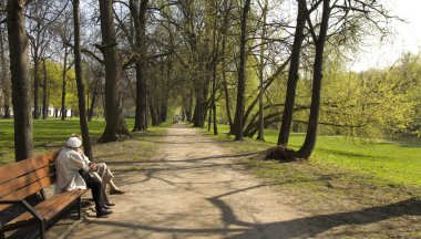 Tanığımız Park Izmaylovky