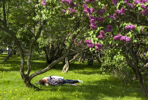 Moskou, Lila tuin — Stockfoto