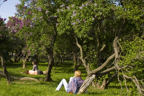 Moskou, Lila tuin — Stockfoto