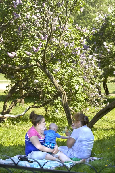 Moskou, Lila tuin — Stockfoto