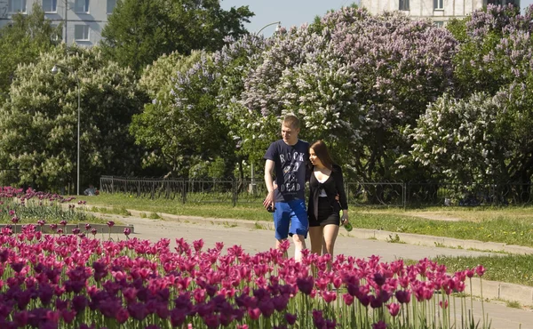 Moscow, Lilac garden — Stock Photo, Image